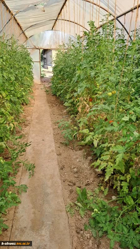 گلخانه (پروژه دانشجویی) 2
